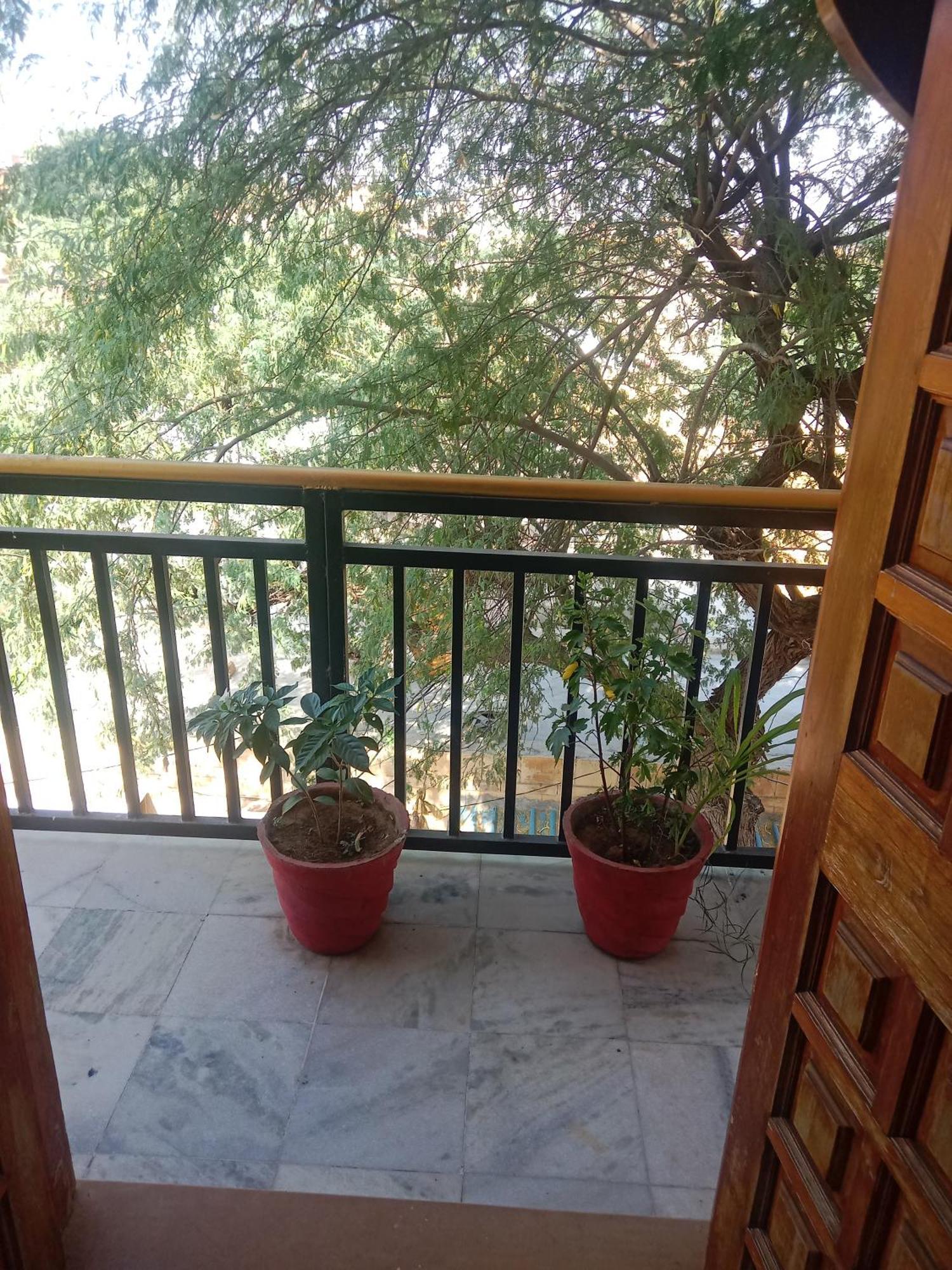 Hotel Neem Haveli Jaisalmer Bagian luar foto